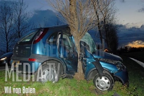 Auto botst op boom; bestuurder gewond
