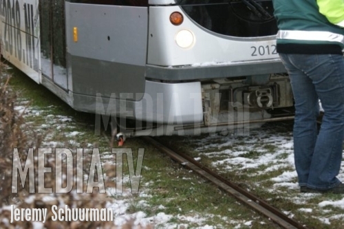 Zwaan betrokken bij ongeval met tram