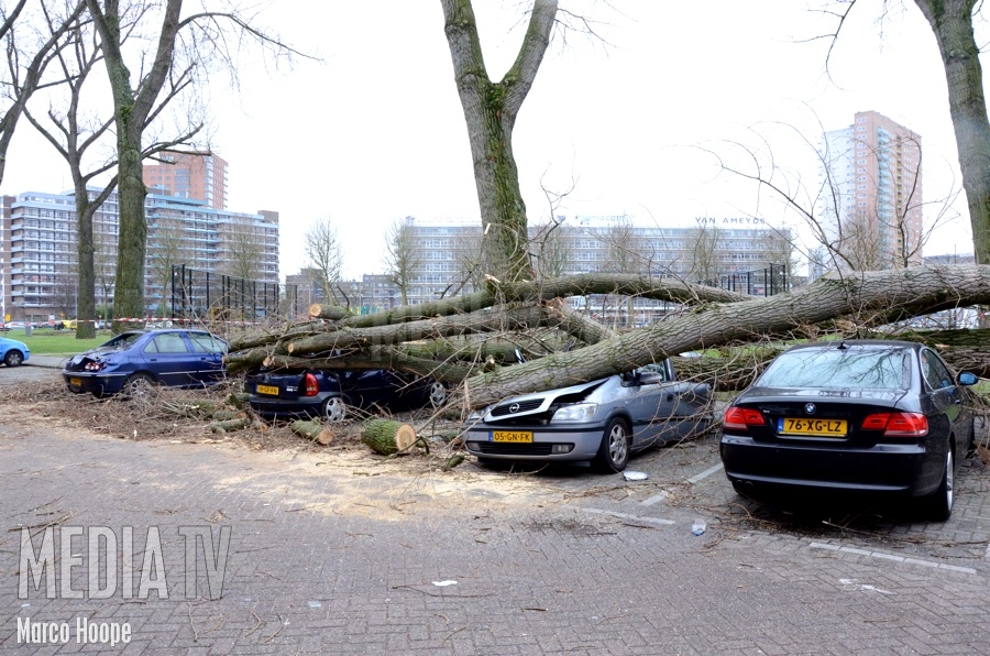 Auto's zwaar beschadigd na omvallen boom Wevershoekstraat Rotterdam (video)