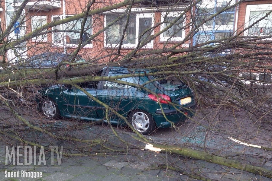 Auto's beschadigd door omgewaaide bomen Hogenbanweg Rotterdam