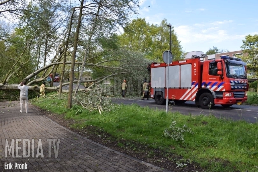 Amsterdamlaan Vlaardingen door omgevallen boom gestremd
