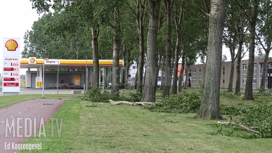 Veel takken van bomen langs Matlingeweg Rotterdam