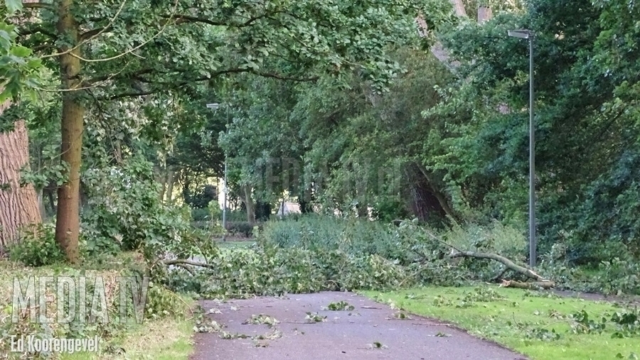 Takken versperren Parkweg Beatrixpark Schiedam