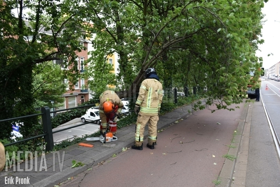 Brandweer verwijdert gevaarlijk hangende tak Oostzeedijk Rotterdam