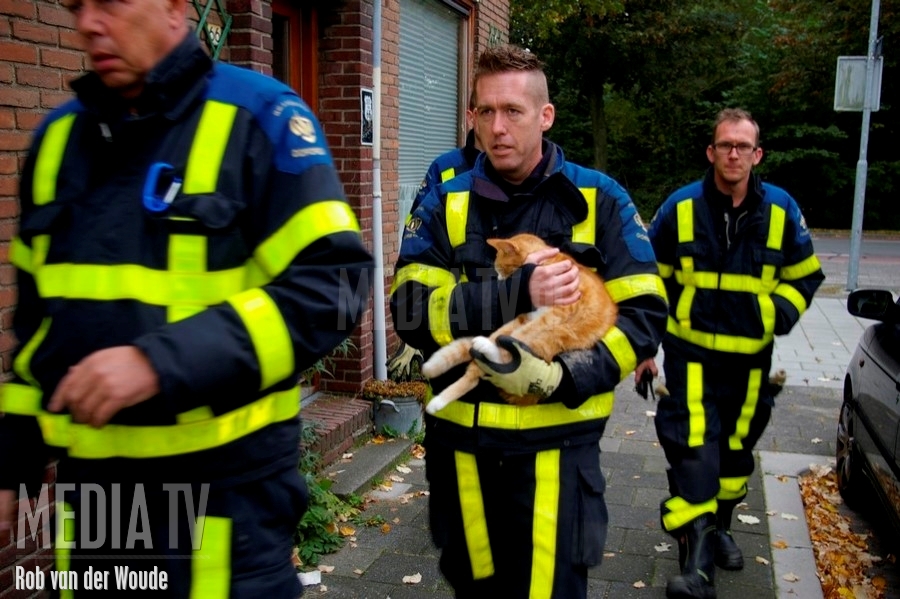 Brandweer redt kat uit benarde situatie Frederikstraat Dordrecht