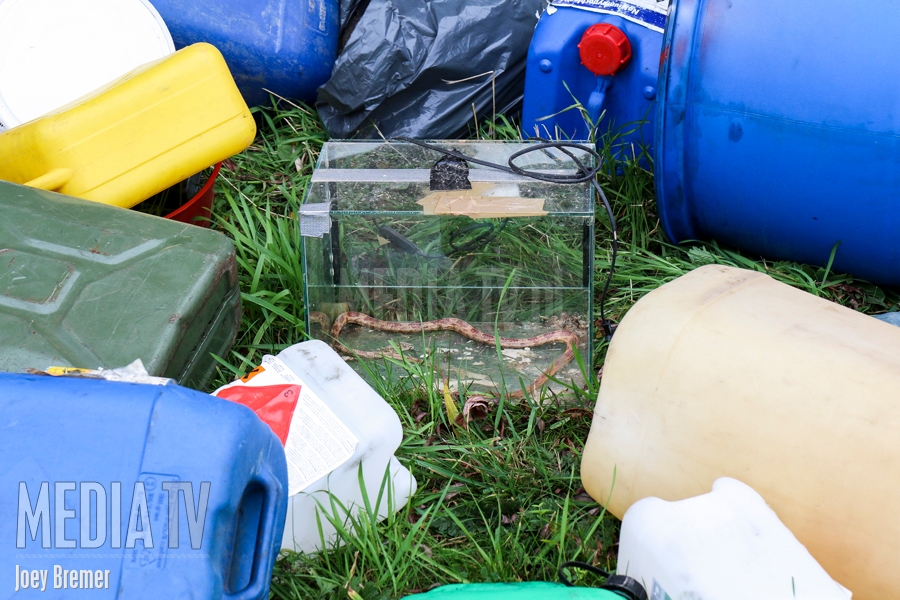 Chemisch afval en slang gedumpt op de Maassluissedijk in Vlaardingen (video)
