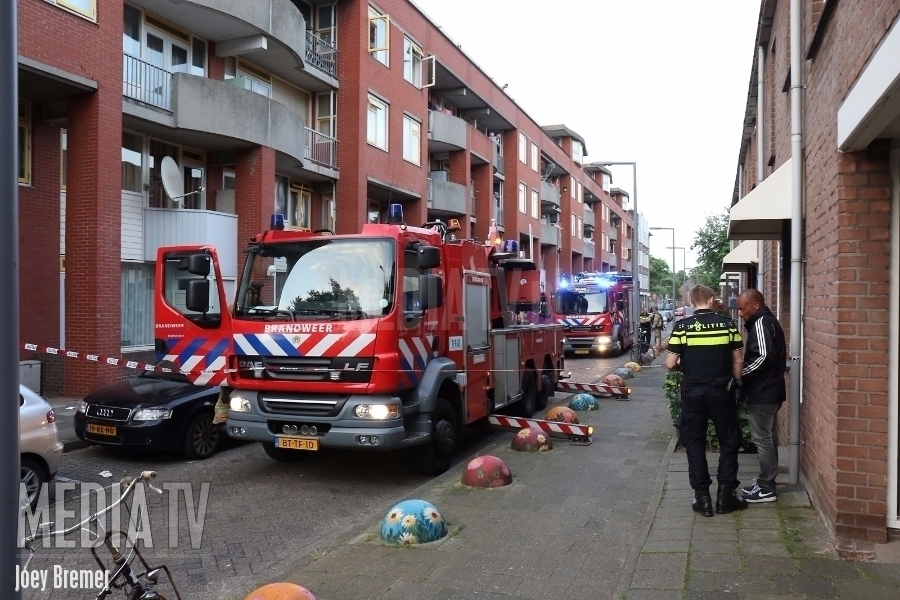 Brandweer redt katten uit brandende woning Isaac Hubertstraat Rotterdam