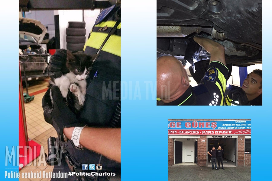 Mauwende kitten onder een auto gered Egelantierstraat Rotterdam