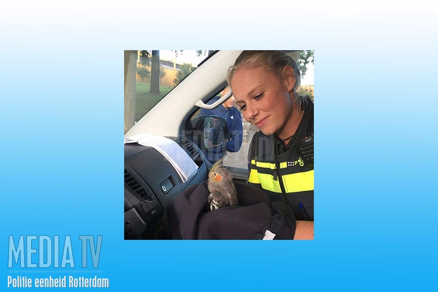 Ontsnapte vogel gered na inbraak op kinderboerderij Tjalklaan Rotterdam