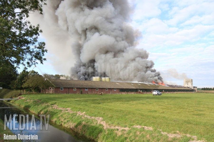 Zeer grote brand in kippenschuren aan de Plasweg in Waddinxveen (video)