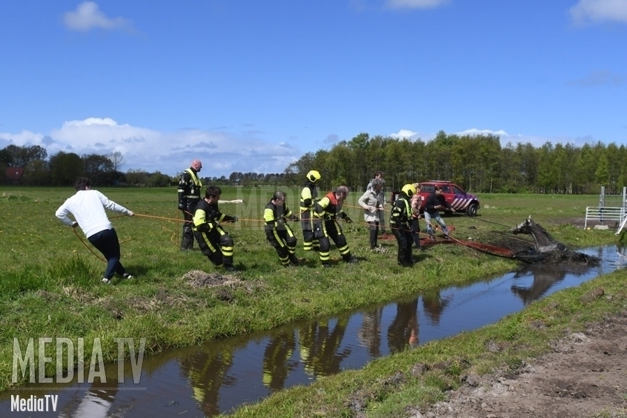 Brandweer Wassenaar druk met paard te water in Voorschoten