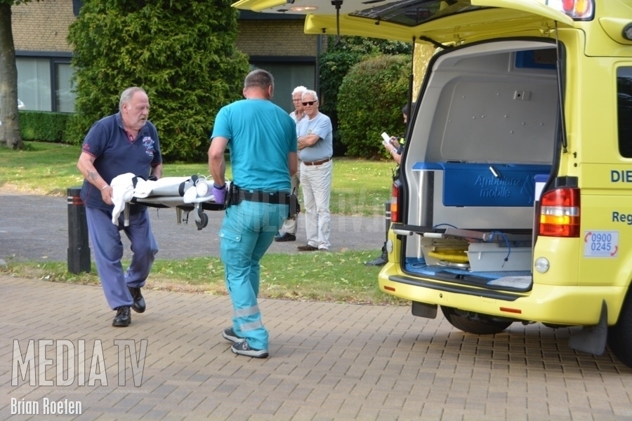 Hond zwaargewond bij aanrijding Nachtegaallaan Bleiswijk