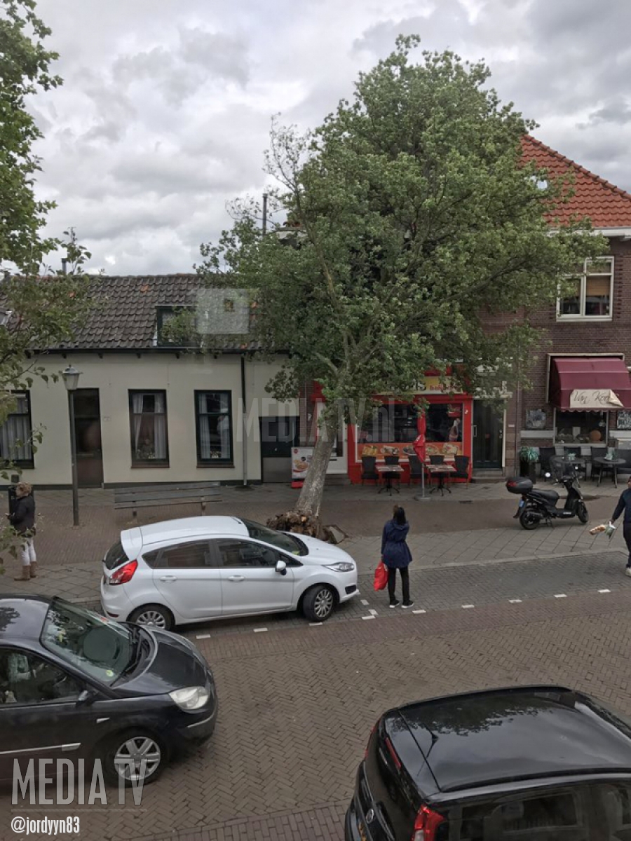 Boom valt tegen huis op Groenelaan Schiedam