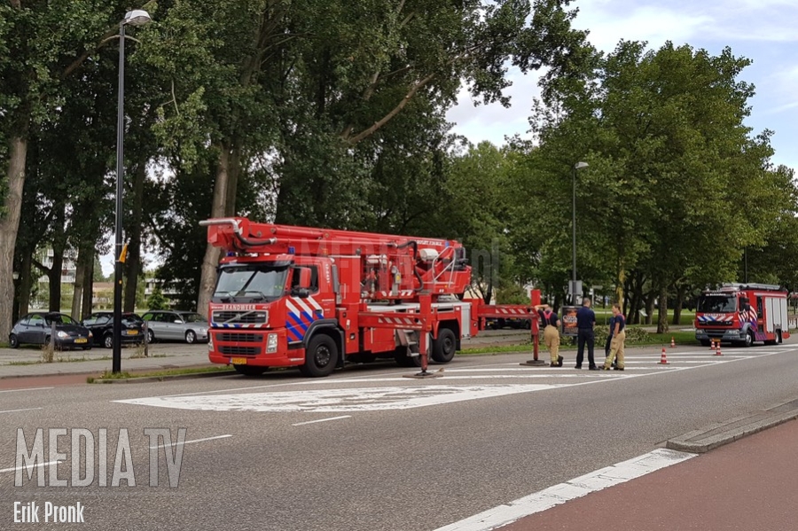 Loshangende tak houdt brandweer bezig Burgemeester van Lierplein Vlaardingen