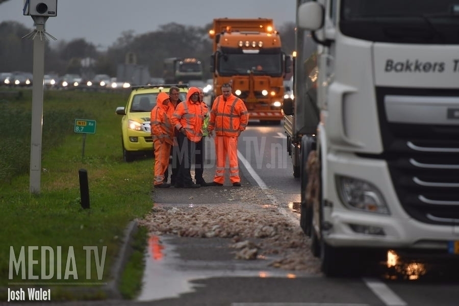 Vrachtwagen verliest slachtafval op N11 Alphen aan den Rijn (video)