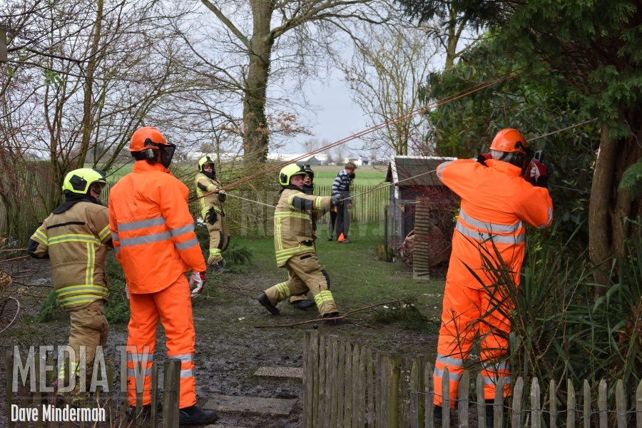 Grote boom dreigt op woonhuis te vallen Kreupeleweg Klaaswaal