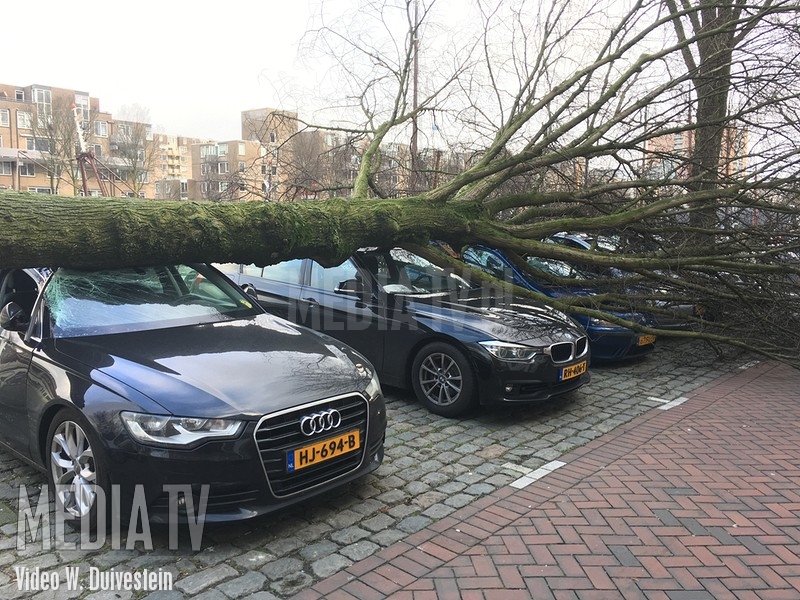 Boom waait op vijftal auto's Haringvliet Rotterdam (video)