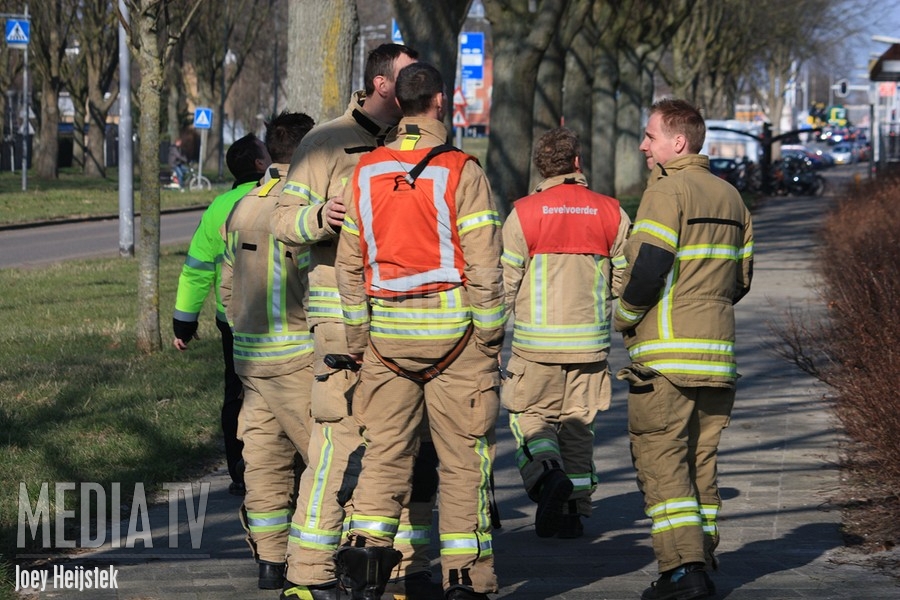 Brandweer rukt uit voor loshangende tak Prins Alexanderlaan Rotterdam