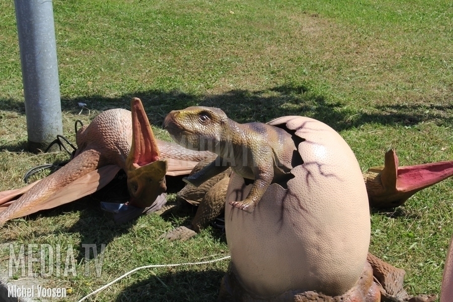 Dinosaurussen veroveren het Beatrixpark in Schiedam (video)