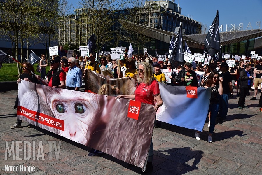Grote opkomst bij mars op Wereldproefdierendag in Rotterdam