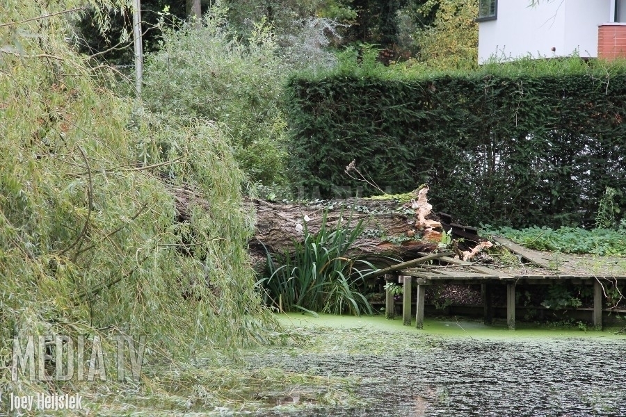 Weg afgesloten wegens omgewaaide boom 's-Gravenweg Capelle a/d IJssel