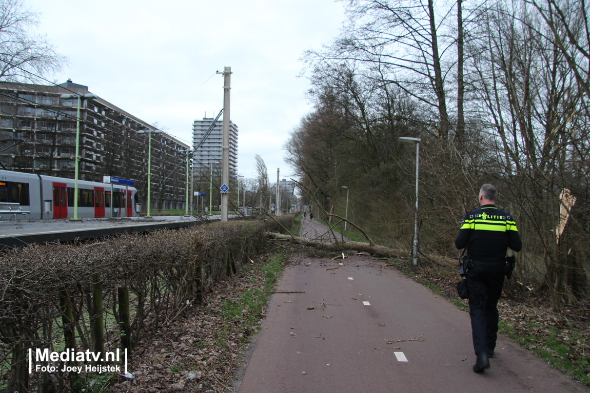 Boom valt op bovenleiding metro Binnenhof Rotterdam