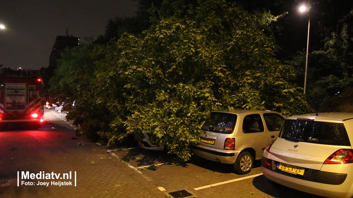 Boom waait op geparkeerde auto's Favrestraat Rotterdam