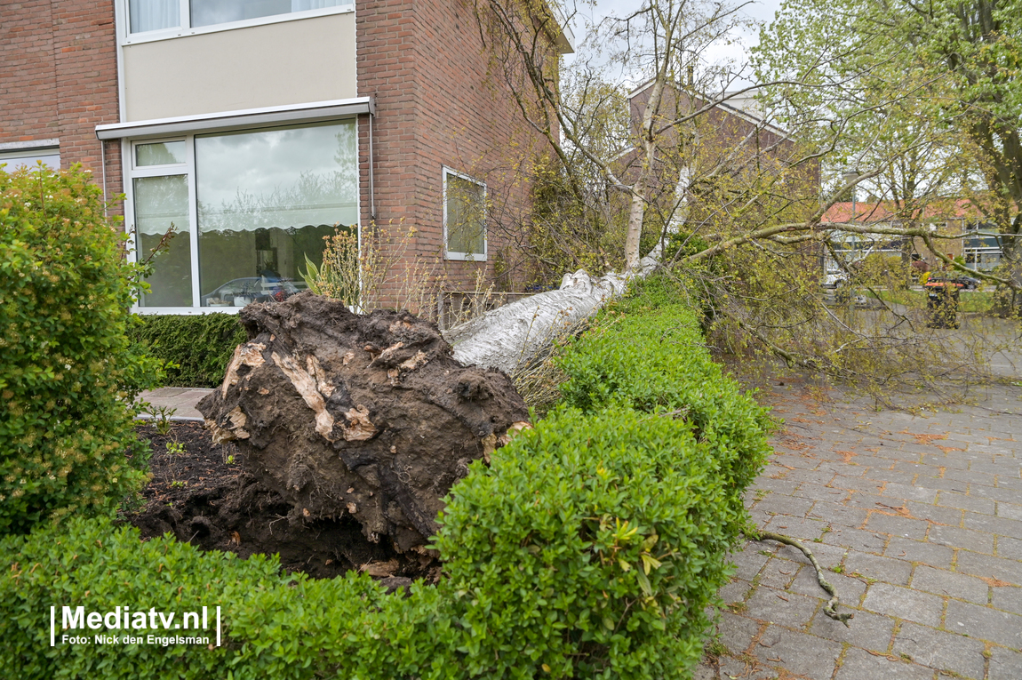 Boom waait om en valt rakelings langs Dordtse woning