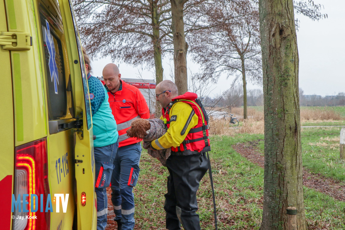 Hond zakt door ijs, vrouw springt ijskoud water in om hond te redden De Boonerlucht Maassluis