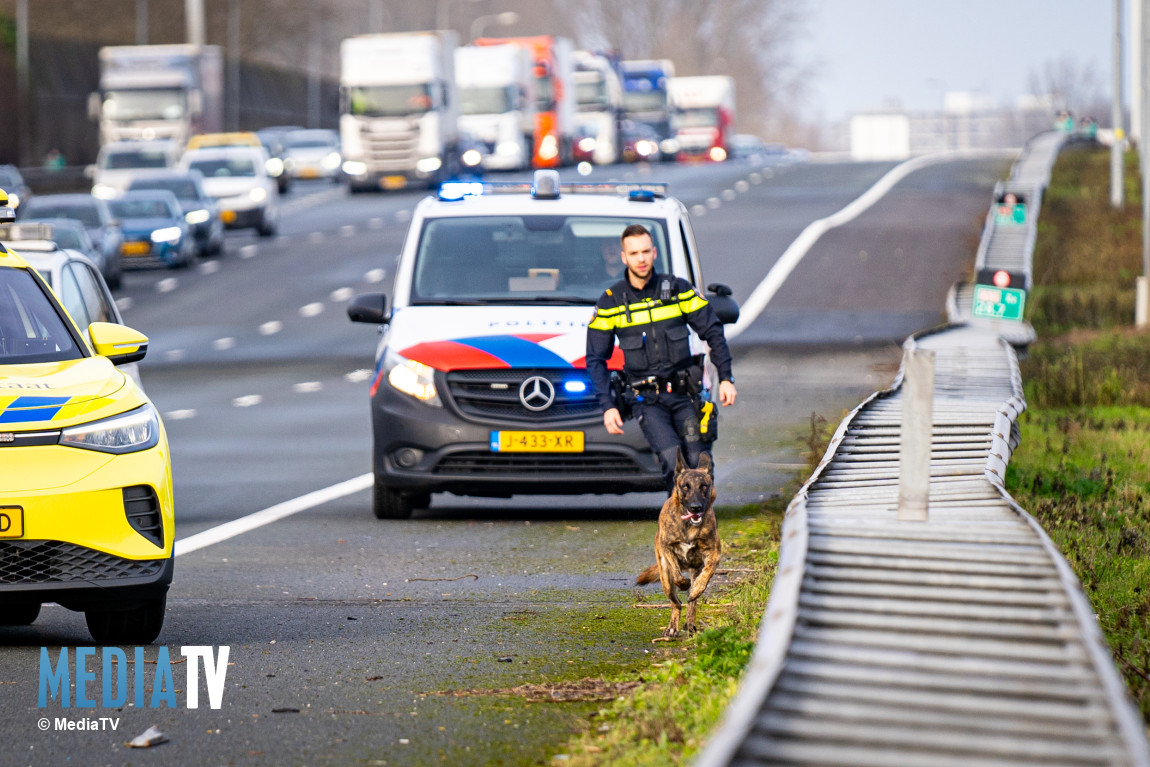 Hond rent tegen verkeer in op snelweg A16 Hendrik-Ido-Ambacht