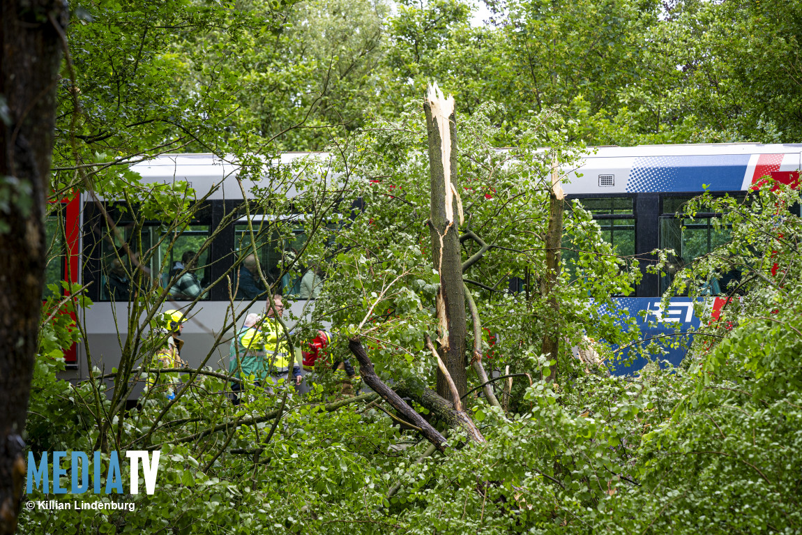 Metro crasht tegen omgevallen boom nabij Zuiderparkweg Rotterdam