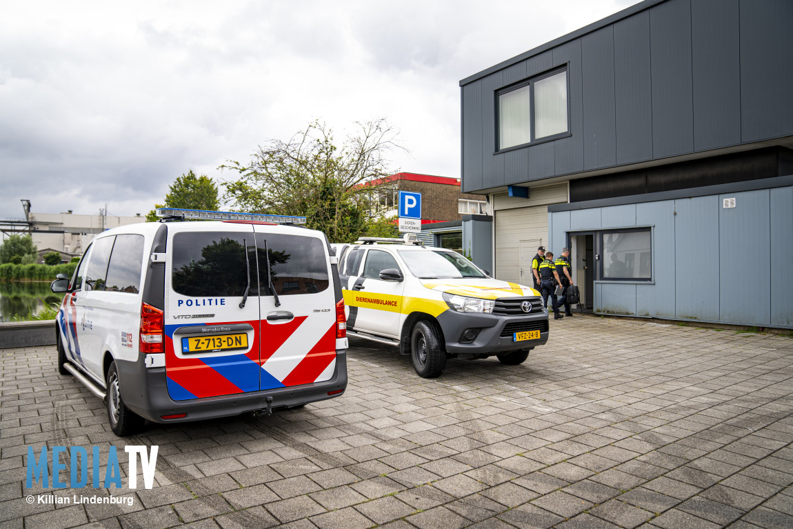 Pand van dierenambulance leeggeroofd bij nachtelijke inbraak Industrieweg Rotterdam