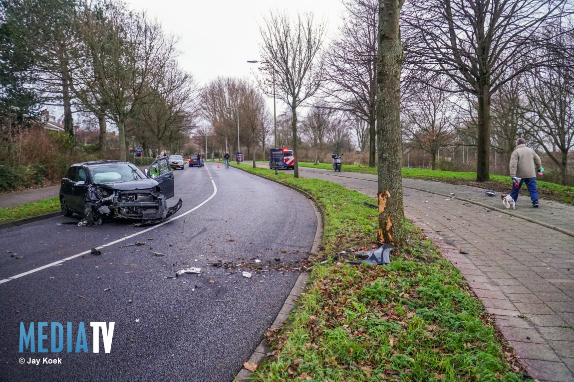 Veel schade nadat auto tegen boom botst Dr. Albert Schweitzerdreef Maassluis