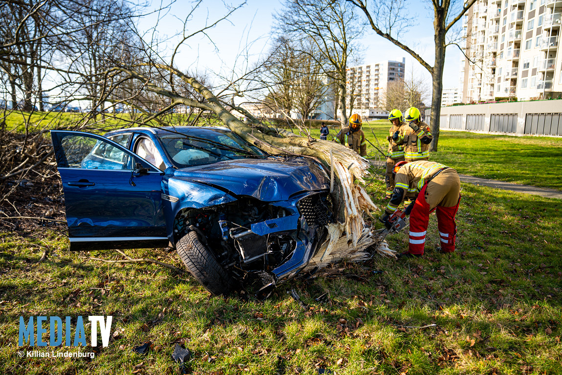 Automobilist botst tegen boom onderaan dijk na onwelwording Maasboulevard Rotterdam